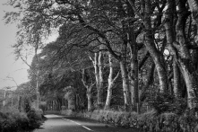 The Road to Tintern