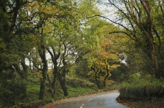 The Road to Tintern